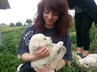 maremmanam abruzzese shhepdog puppy